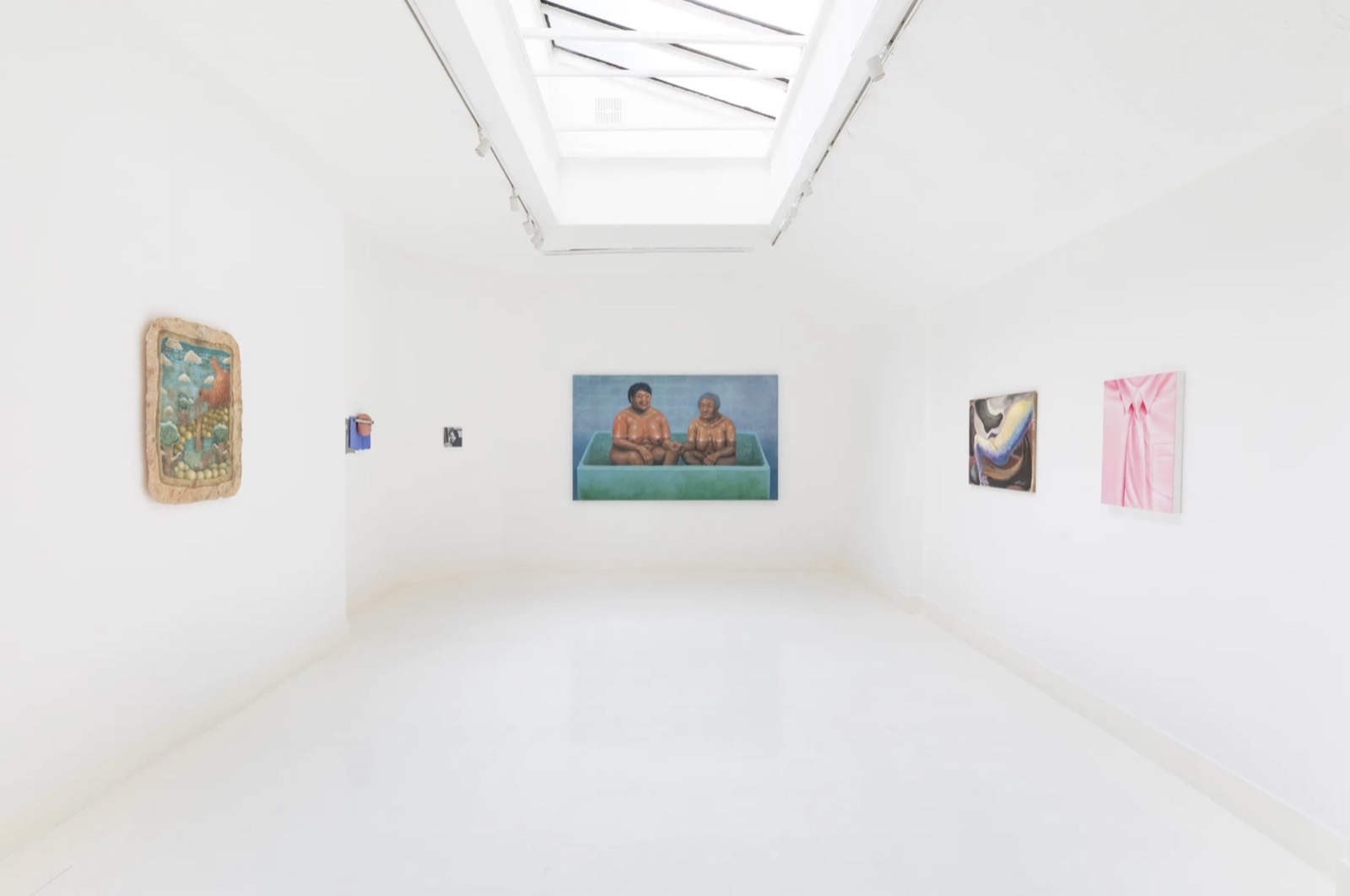 Somatechnics installation view