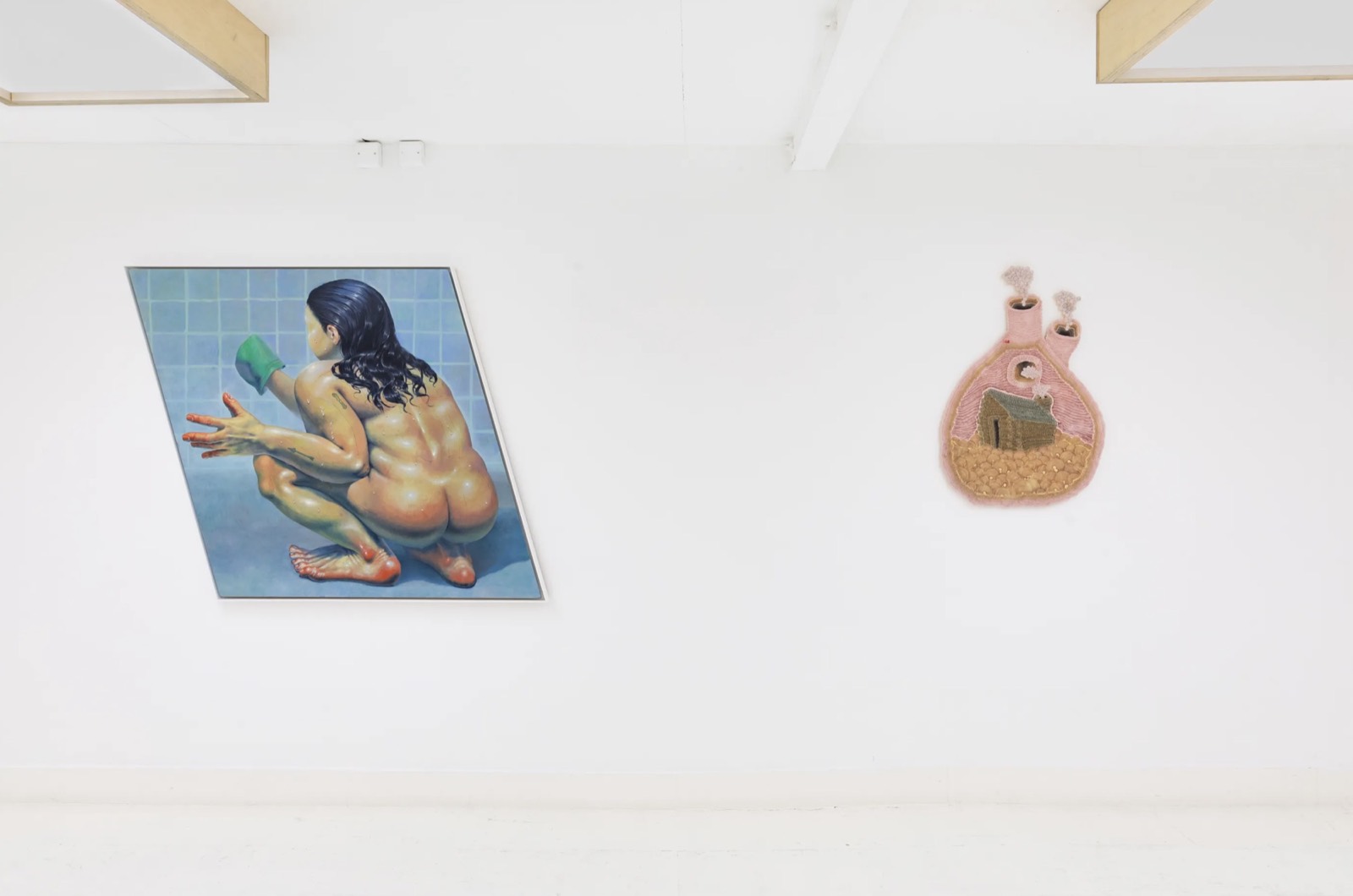 Somatechnics installation view